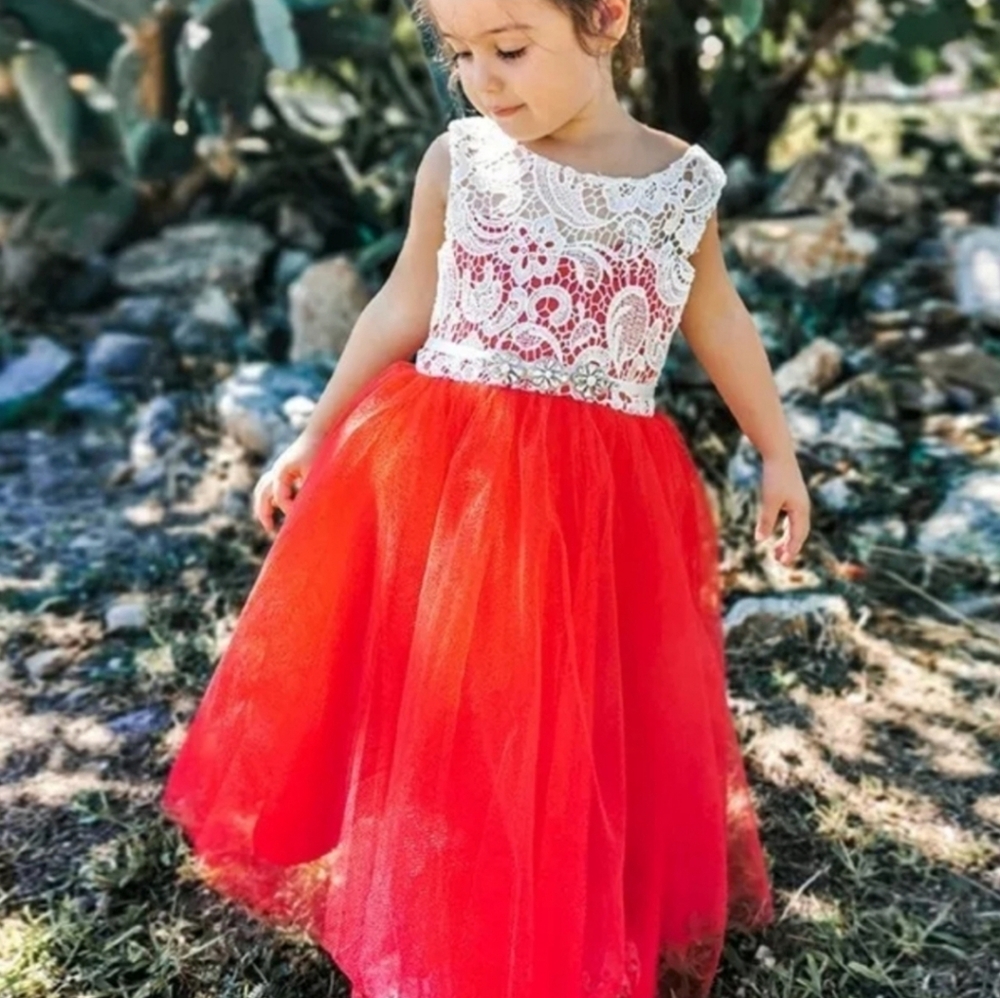 Girls‎ Embroidery Flower Lace Puffy Sleeveless Red Dress Tulle  Size 14/16